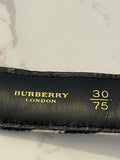 Pre Loved Burberry vintage web belt