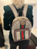 Pre Loved Gucci Ophidia Back Pack Bag (excellent).