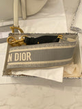 Pre Loved Christian Dior Latte Saddle Bag with Logo Web Strap  (excellent)
