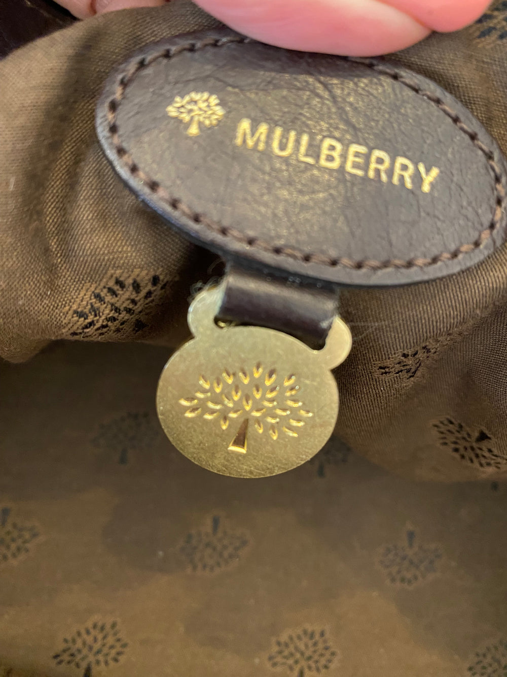 Pre Loved Mulberry Alexa in Chocolate Brown