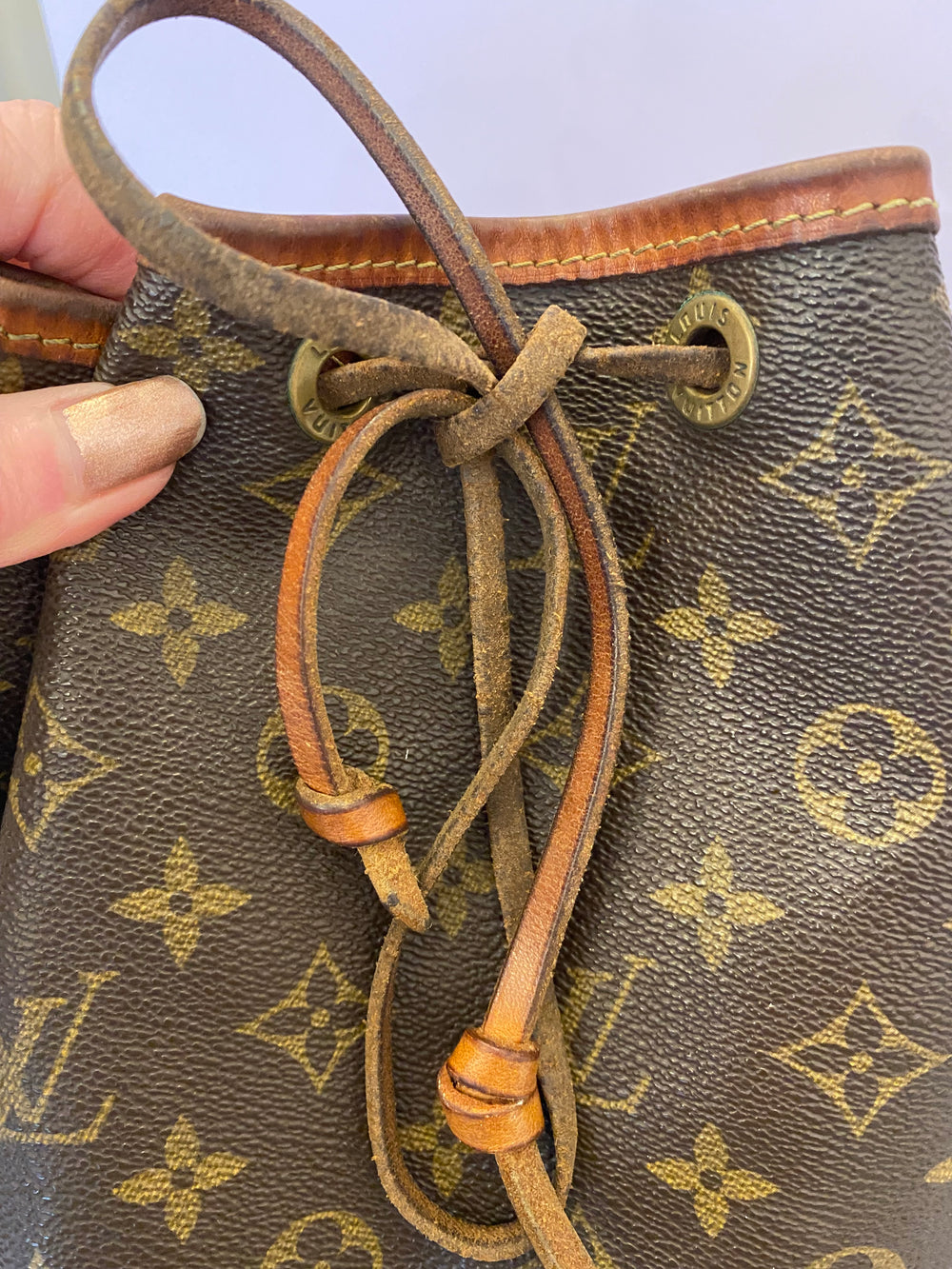 Pre Loved Louis Vuitton Vintage  Noe Monogram Bucket Bag