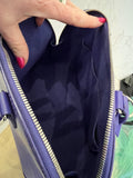 Pre Loved Louis Vuitton Alma PM in Purple Epi Leather (excellent)