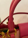 Pre Loved Miu Miu Pink Madras Two Way Bag